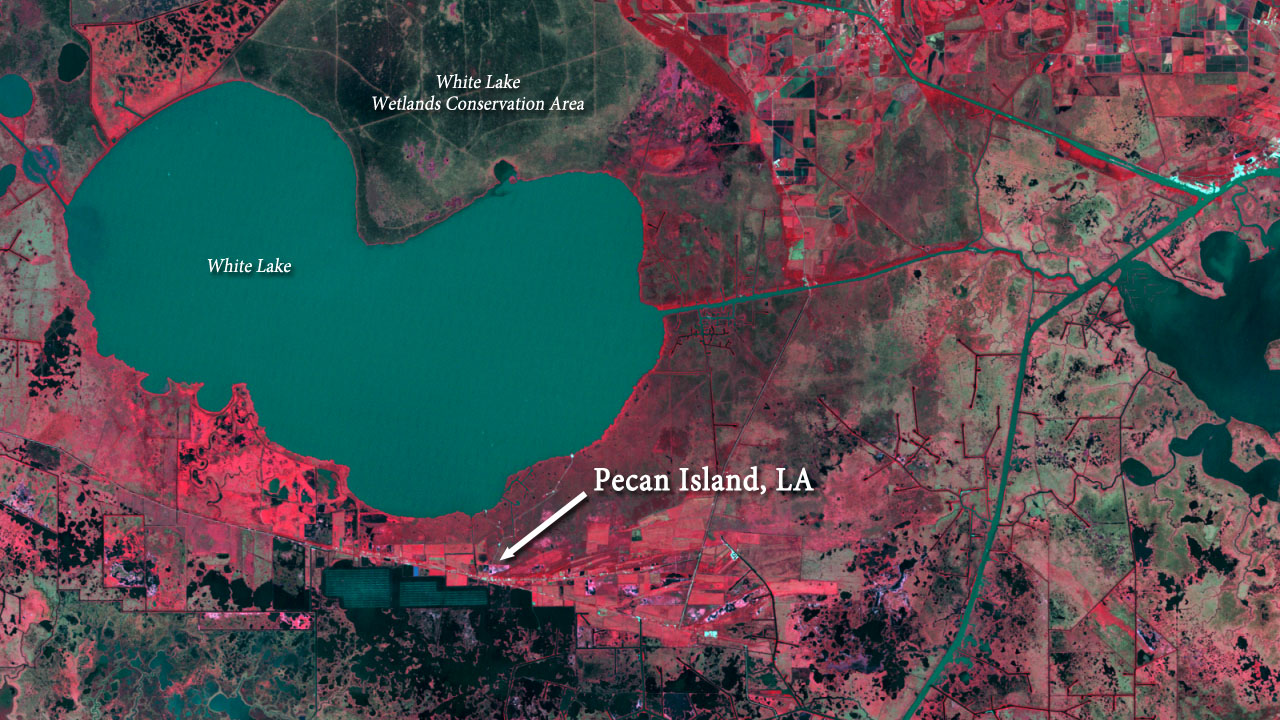 NASA Landsat view of Pecan Island and White Lake wetlands in Vermilion Parish, Louisiana